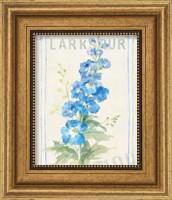 Framed 'Floursack Florals VII' border=