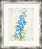 Framed 'Floursack Florals VII' border=