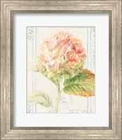 Framed Floursack Florals VI