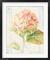 Framed Floursack Florals VI