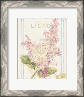 Framed Floursack Florals V