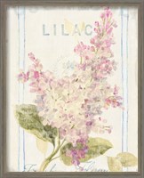 Framed 'Floursack Florals V' border=