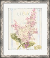 Framed Floursack Florals V