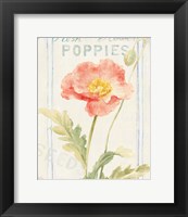 Framed Floursack Florals IV