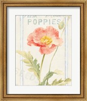Framed Floursack Florals IV
