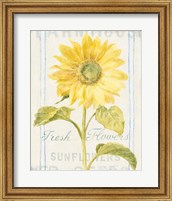 Framed Floursack Florals II