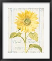 Floursack Florals II Framed Print