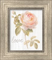 Framed 'Garden Rose on Wood Love' border=