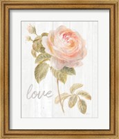 Framed Garden Rose on Wood Love