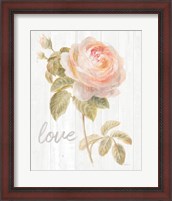 Framed Garden Rose on Wood Love