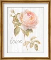 Framed Garden Rose on Wood Love