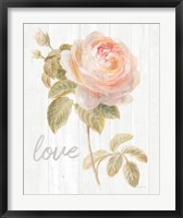 Framed Garden Rose on Wood Love