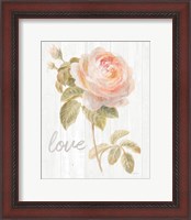 Framed Garden Rose on Wood Love