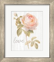 Framed Garden Rose on Wood Love