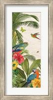 Framed Parrot Paradise VI