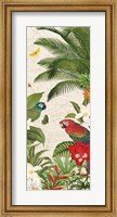 Framed Parrot Paradise VII