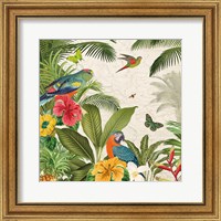 Framed 'Parrot Paradise II' border=