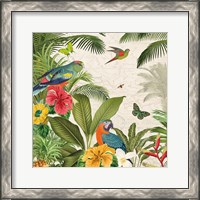 Framed 'Parrot Paradise II' border=