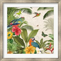Framed Parrot Paradise II