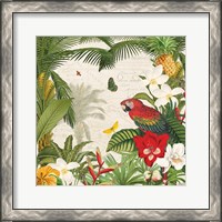 Framed 'Parrot Paradise III' border=