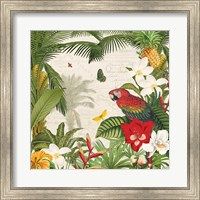 Framed Parrot Paradise III