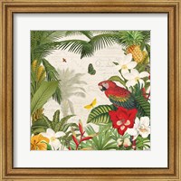 Framed 'Parrot Paradise III' border=
