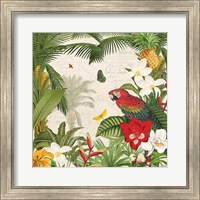 Framed Parrot Paradise III