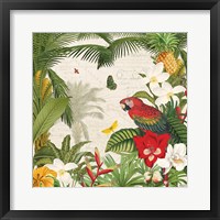 Parrot Paradise III Framed Print