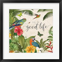 Parrot Paradise IV Framed Print