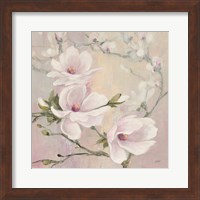 Framed Blushing Magnolias