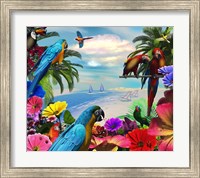 Framed Macaw Island