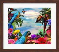 Framed Macaw Island