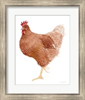 Framed Life on the Farm Chicken Element IV