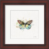 Framed 'Thoughtful Butterflies III' border=