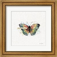 Framed Thoughtful Butterflies I