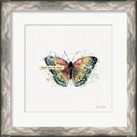 Framed 'Thoughtful Butterflies I' border=