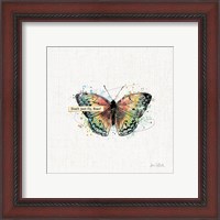 Framed 'Thoughtful Butterflies I' border=