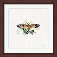 Framed Thoughtful Butterflies IV