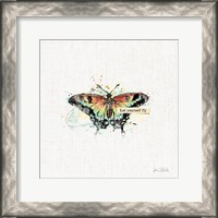 Framed 'Thoughtful Butterflies IV' border=
