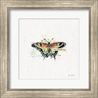 Framed 'Thoughtful Butterflies IV' border=
