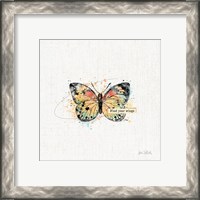 Framed 'Thoughtful Butterflies II' border=