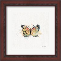Framed Thoughtful Butterflies II