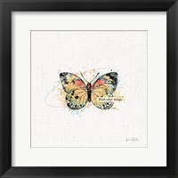 Thoughtful Butterflies II Framed Print