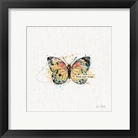 Framed 'Thoughtful Butterflies II' border=