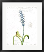 Spring Fields III Framed Print