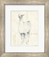 Framed Llama Land XII