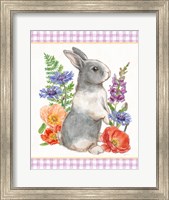 Framed Sunny Bunny IV Checker Border