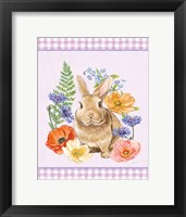 Sunny Bunny II Checker Border Purple Framed Print