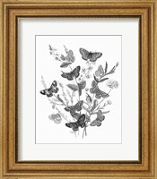 Framed Butterfly Bouquet I Linen BW I