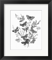 Framed Butterfly Bouquet I Linen BW I